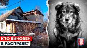 Жестокое обращение с животными СНТ Волна