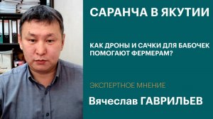 Якутия планирует закупить дроны для борьбы с саранчой | Интервью