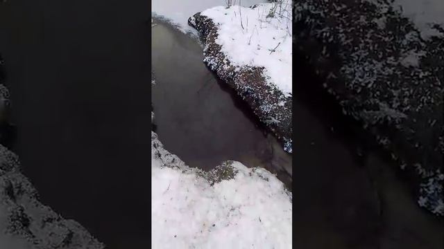 деревенские будни