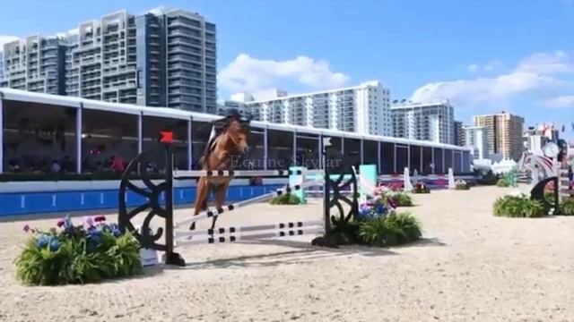 Prom Queen||Dressage/Show Jumping Music Video смотреть онлайн