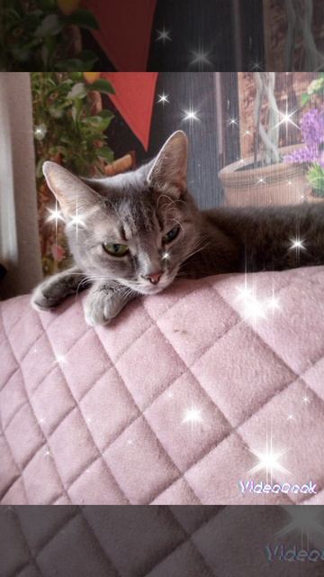 1000024586.mp4 смотреть онлайн