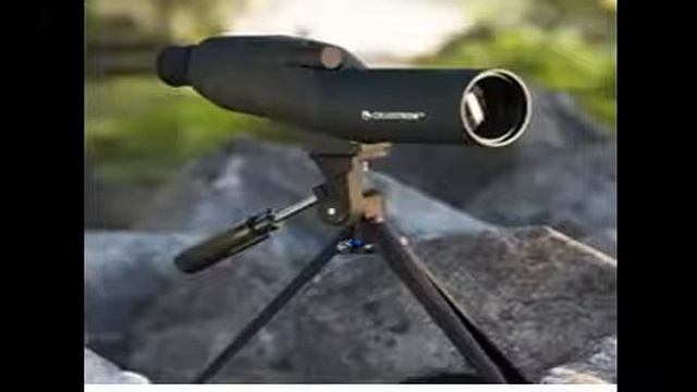 Смехотворные прогнозы 2017 81 серия смотреть онлайн