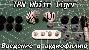 Внутриканальные наушники TRN White Tiger ($48) vs KZ DQS ($12)