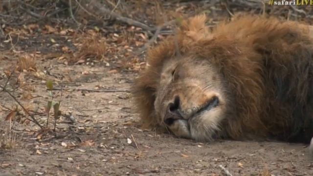 Aug 28, 2017- Sunrise - Byron has caught to 2 of the Birmingham Males who are flat смотреть онлайн