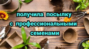 Влог/Что с колеусами/Получила  профессиональные семена#семена#сад#огород