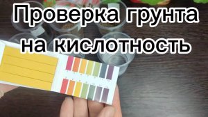 Проверка кислотности грунта