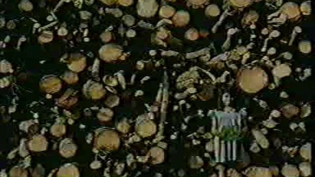 Каннские львы s-22 смотреть онлайн