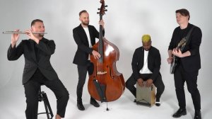 Инструментальная кавер группа TEFFI