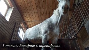 Мой первый конный влог | #конныйспорт #лошади