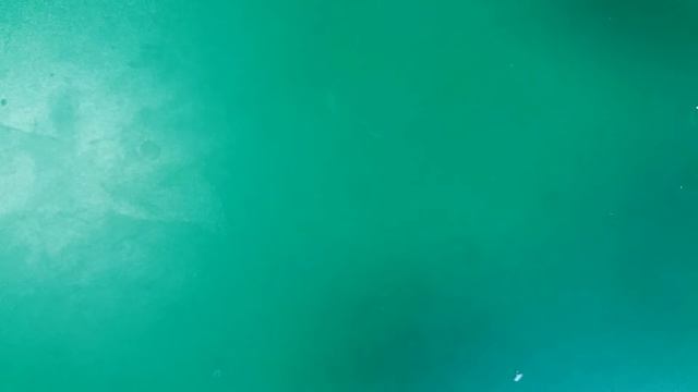 Новая посылочка очков! Я опасная! Розыгрыш браслета в следующем видео! смотреть онлайн