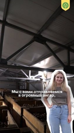 Чем занимаются агрономы зимой?