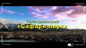 «Сафари-парк» в Геленджике, центр реабилитации диких животных