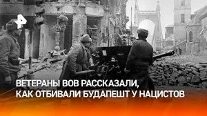 "Немцы его очень аккуратно оберегали": со дня взятия Будапешта — 80 лет / РЕН Новости