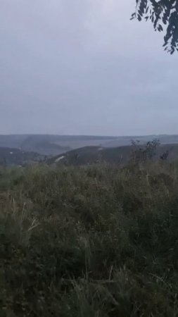 Зарисовки Доктора Барс27! Птур!