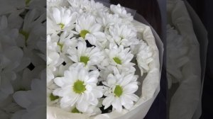 Монобукет из 7 хризантем ромашка