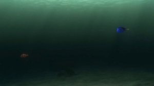 The Character Highlight Reel Ep. 6 - Marlin, Nemo and Dory