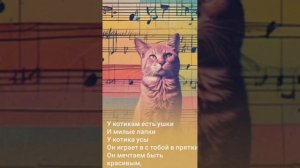 Песня - Ты похожа на кота (словаинаши, музыка и голос - нейросеть)