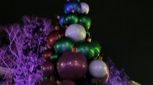 Краснодар, январь, прогулка, ул. Красная - 2025 год