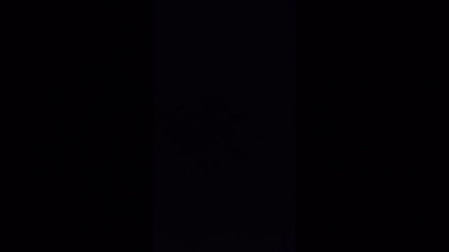 VID_202502