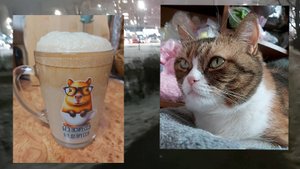 Всего понемногу: Подарок на донат. Заказ на игрушку с авито. Немного процессов))) Балую Сонечку)))