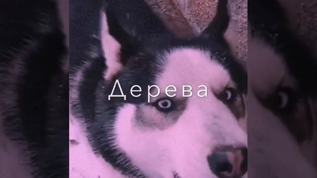 Собрались человеческие чувства смотреть онлайн