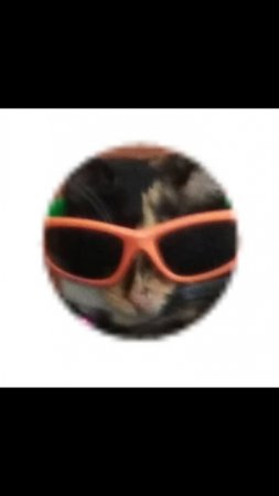 mp4