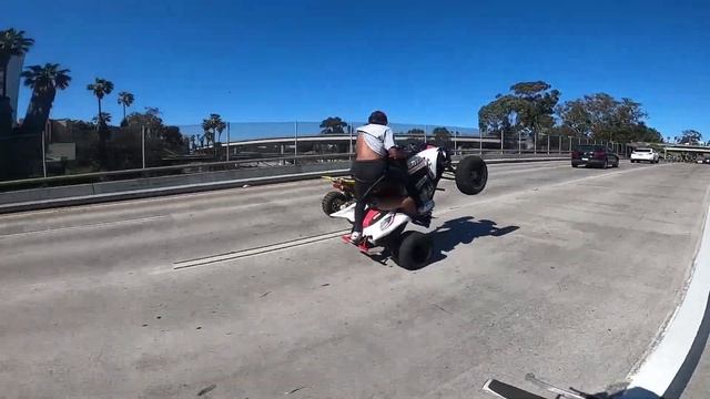 grom stunting in san diego смотреть онлайн