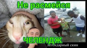 Попробуй, не расмеяться челендж \Юмор\Животные\Испуги\Смешные моменты\Смешные падения.