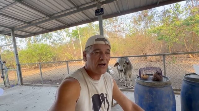 Mira el video de hoy No te arrepentiras смотреть онлайн