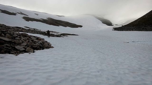 Большой геологический вопрос. С какими опасностями встречается геолог во время полевых работ?