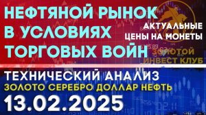 Нефтяной рынок в условиях торговых войн. Анализ рынка золота, серебра, нефти, доллара 13.02.2025 г