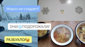 16.01.2024 ДОРОГО ЖИТЬ ПЕНСИОНЕРУ!🤦♀️Суп турецкий с булгуром!👍😋Меняем корм Саймону.🐈😔