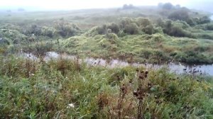 VID_20230827_091322.mp4