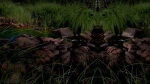 Журчание лесного ручья для сна и релакса