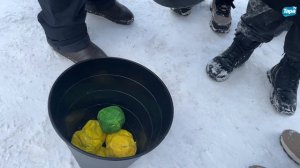 Квест для школьников накануне 23 февраля прошёл в парке культуры Тары (12.02.2025)