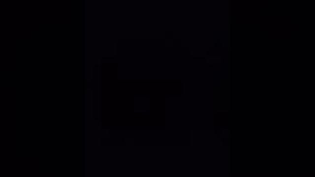 VID_готш