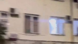 Два енота устроили оргию на крыше мчащегося такси в Сочи.