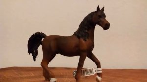 Мои новые лошади Шляйх из Австрии!!!