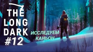 THE LONG DARK #12 ИССЛЕДУЕМ КАНЬОН