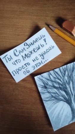 Рисунок Дерево Простым Чернографитным Карандашом/Drawing Tree Simple Black-graphite Pencil