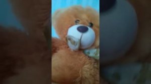 Медведь и его веселая история . +18