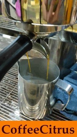 Coffee Citrus
