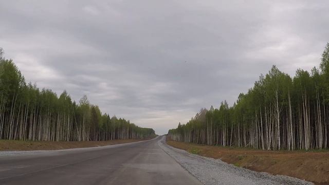 Нарвался на ястреба. Смотреть до конца. смотреть онлайн