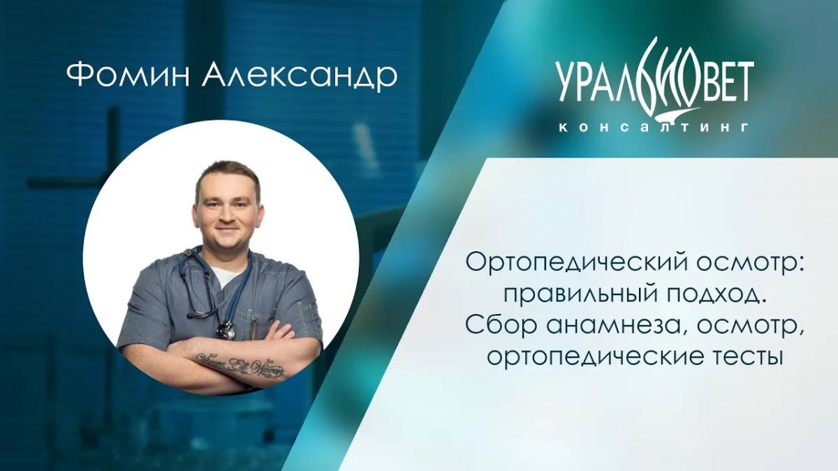 Ортопедический осмотр: правильный подход. Фомин Александр #убвк_ортопедия_травматология