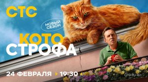 Анонс, Котострофа, 2 сезон, новый сезон, Премьера 24 Февраля в 19:30 на СТС, 2025