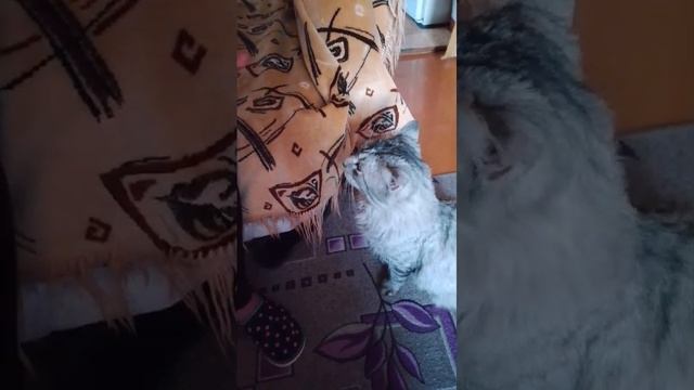 У Атоса ,зимний авитоминоз