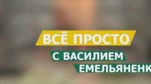 Все просто с Василием Емельяненко