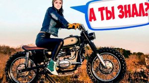 Что такое SCRAMBLER? И как построить скрамблер на базе советсвкого мотоцикла