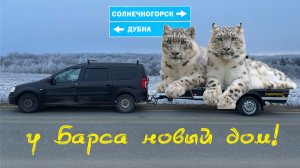 Легендарный желтый прицеп-капля "Барс" производства "Кемперус" едет в новый дом.