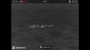 UK Exclusive - HikMicro Condor LRF CQ50L Field Test - The Night Vision Show